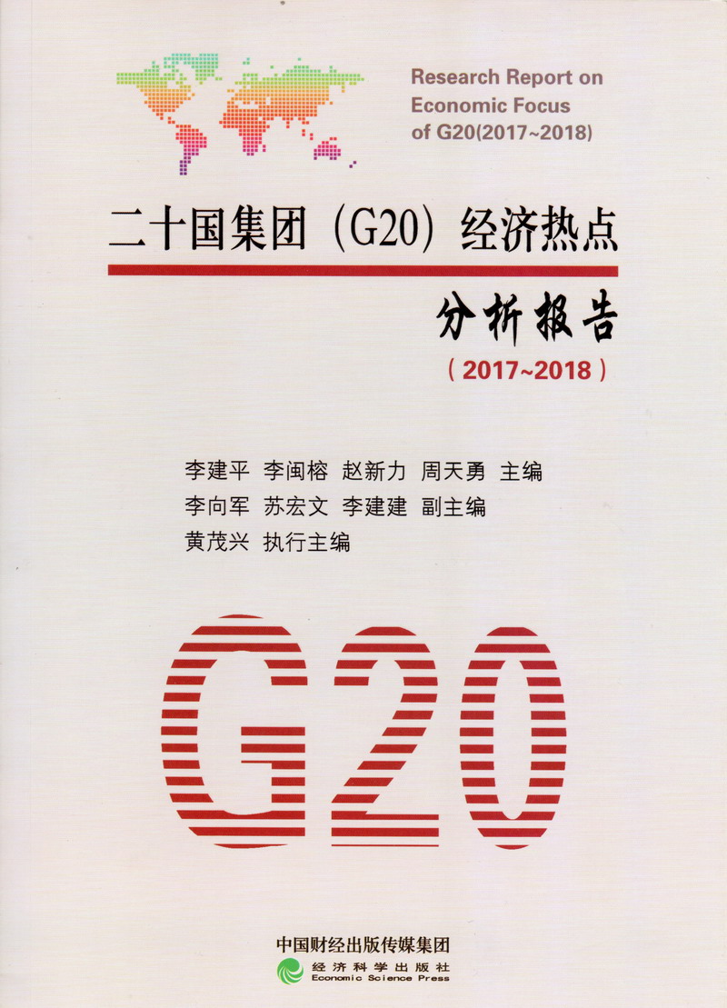 打几把操逼免费视频二十国集团（G20）经济热点分析报告（2017-2018）