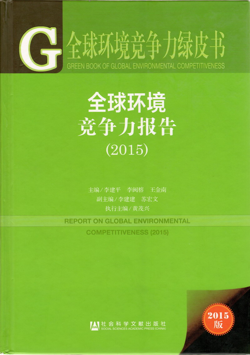 大鸡巴射精骚逼高清视频免费全球环境竞争力报告（2017）